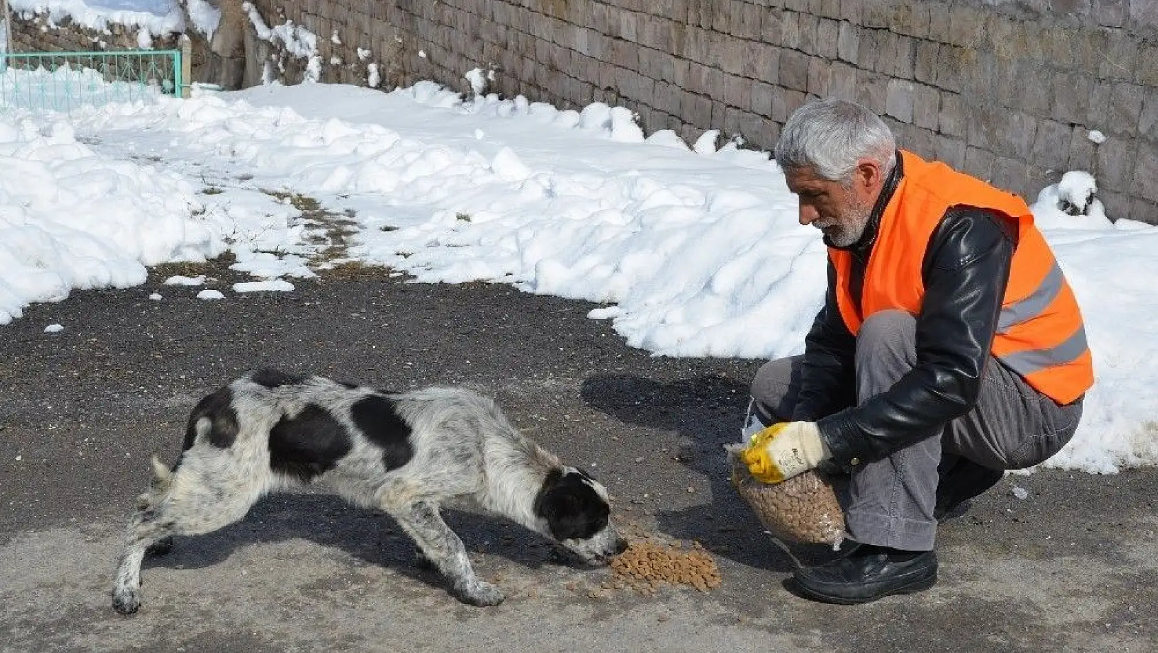 Sokaktaki hayvanlar için Türkiye'de bir ilk olarak 'Pati Parkı' yapıldı