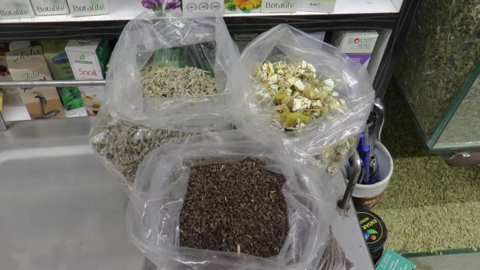Baharda şifa kaynağı 'papatya çayı'