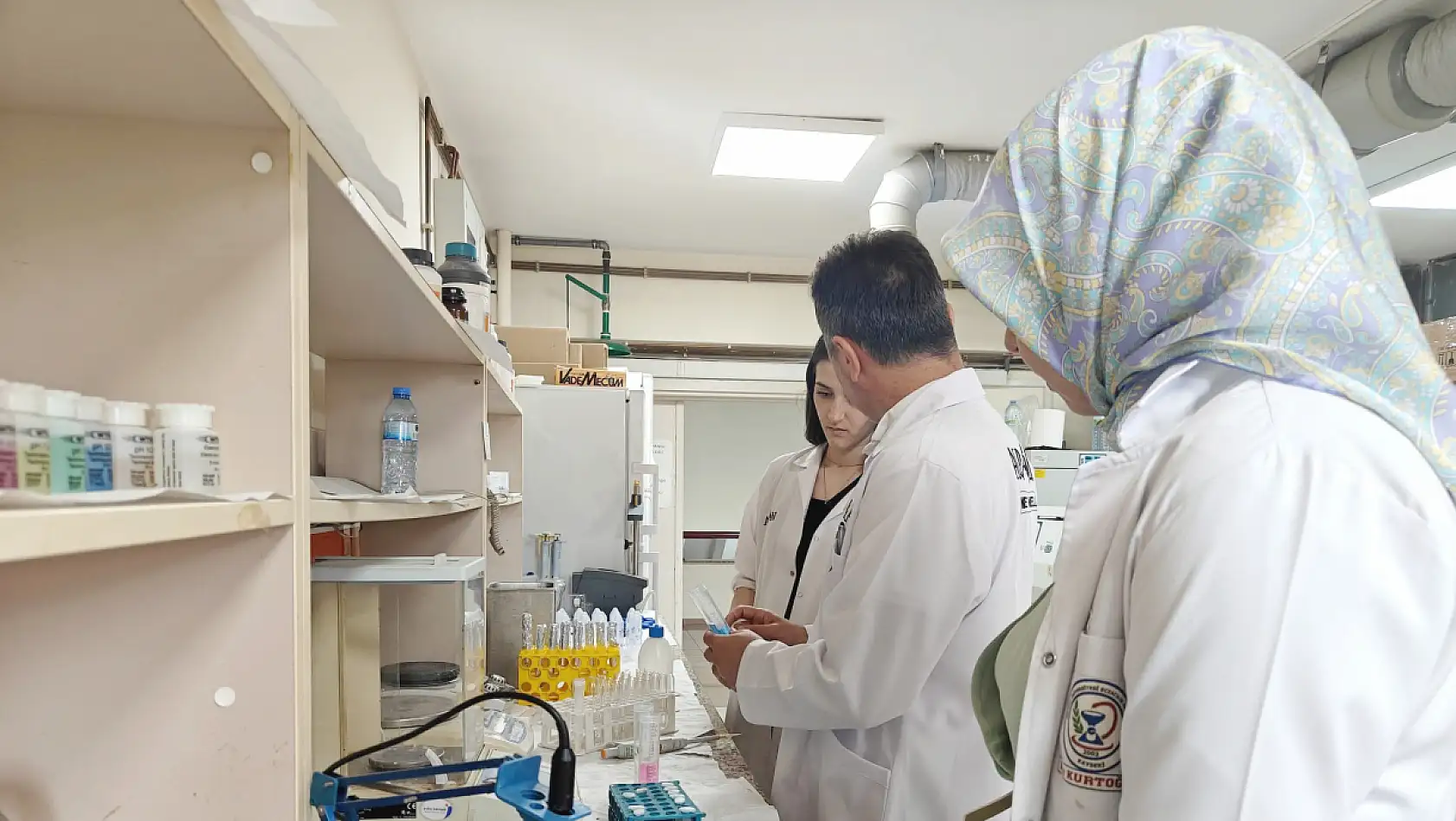 Kayseri'den kene ve haşereye karşı bitkisel çözüm