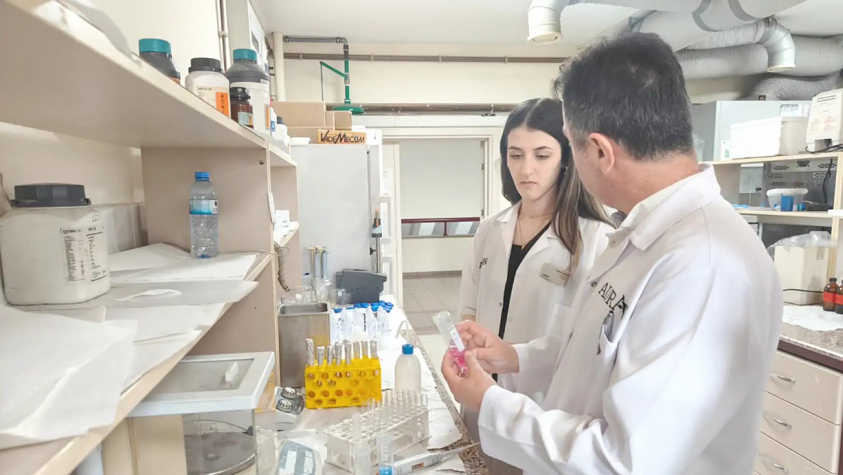 Kayseri'den kene ve haşereye karşı bitkisel çözüm