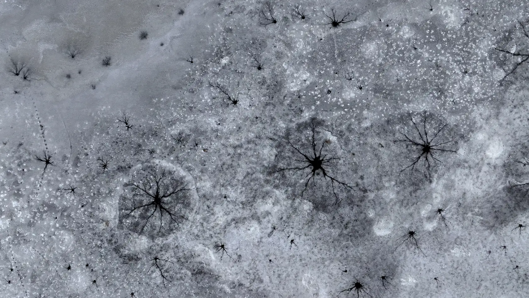 Bu görüntüler Kayseri'den: Göz bebeğini andıran buzlar oluştu