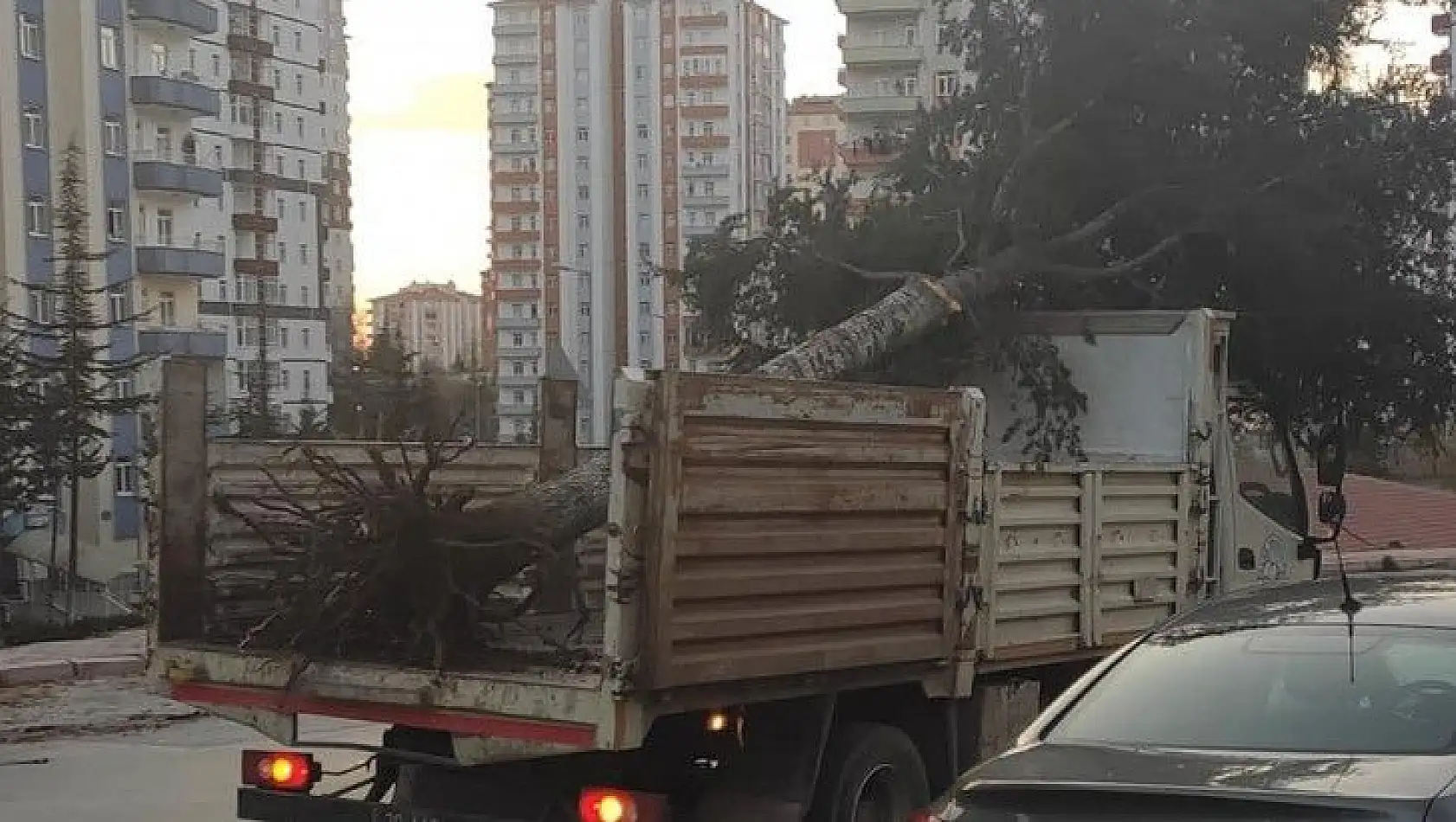 Bu görüntüye böyle tepki gösterdi: Katliam sürüyor! İçim acıdı…