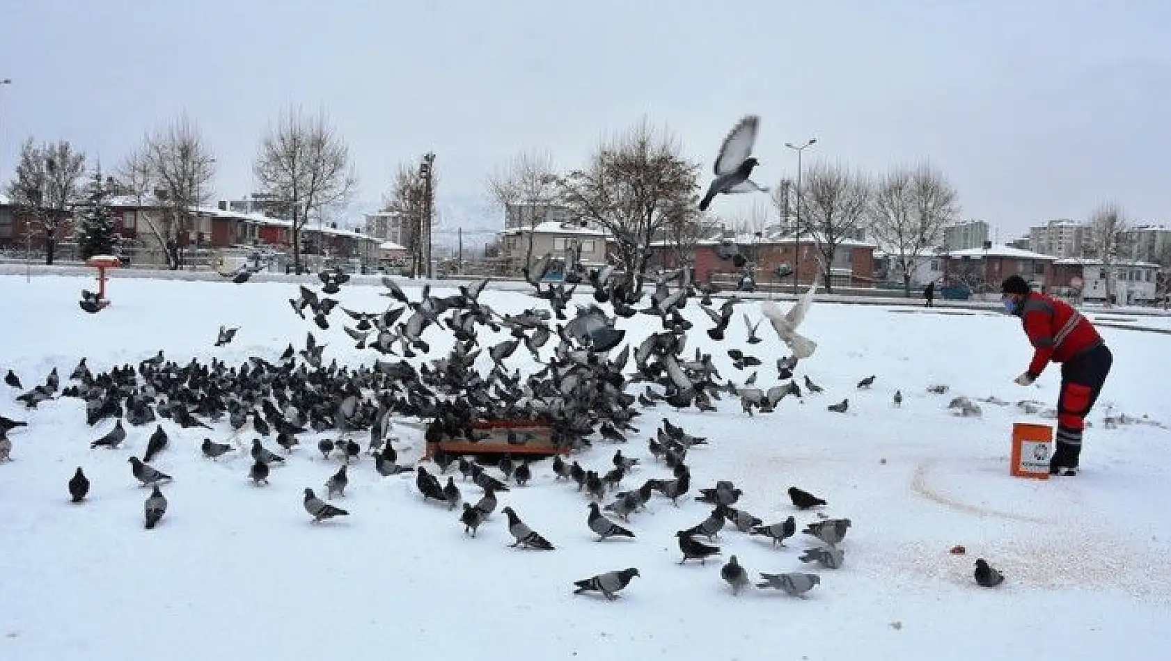 Hayvanseverlerden Başkan Çolakbayrakdar'a teşekkür