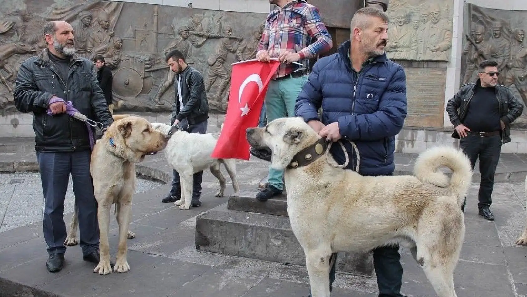 Hollandalılara kangal köpekli gözdağı