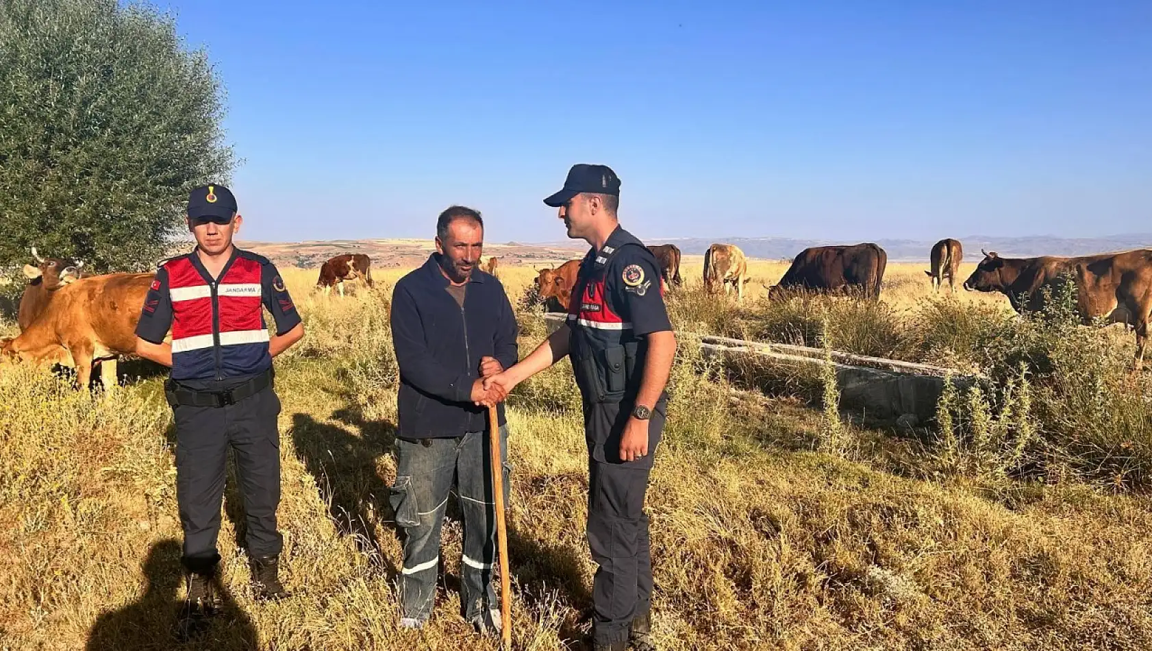 Kayseri'deki kayıp hayvanları drone buldu