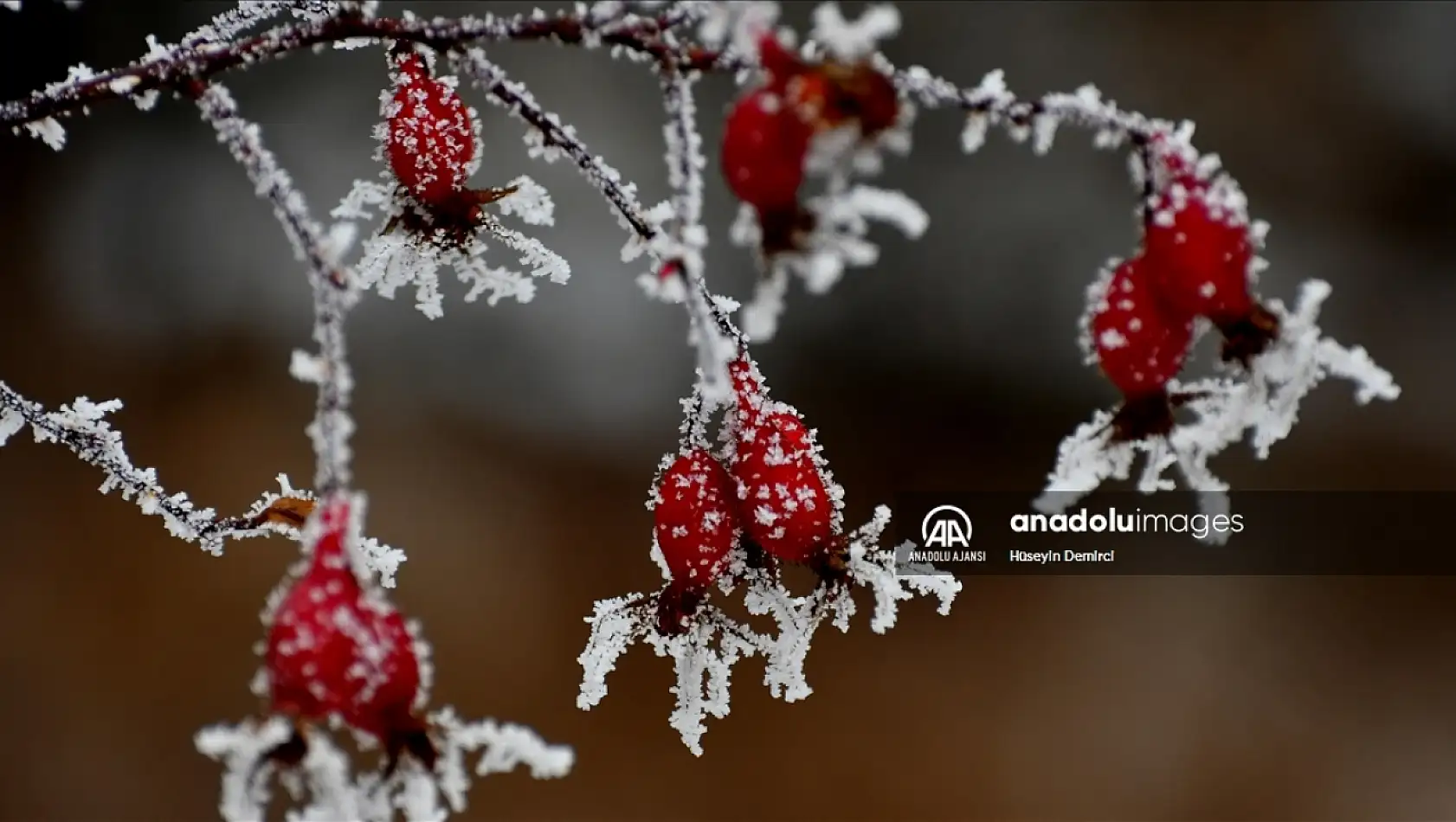 Meteoroloji uyardı! Pazar günü başlıyor 4 gün sürecek