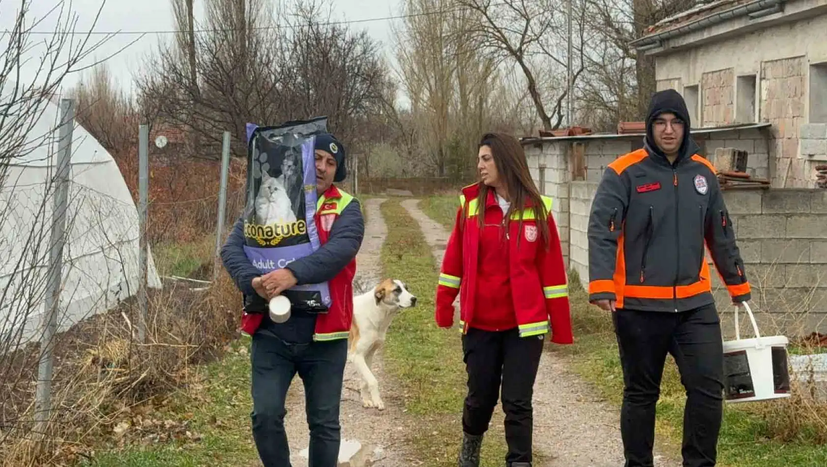 Kayseri'de sokak hayvanları için doğaya yem bıraktılar...