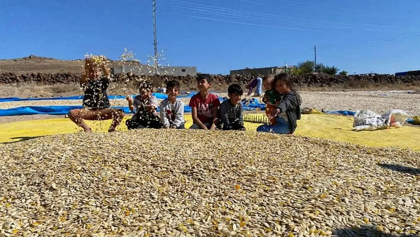 'Yakında eczanelerde satılır ve reçetelerde yer alırsa şaşırmayalım'