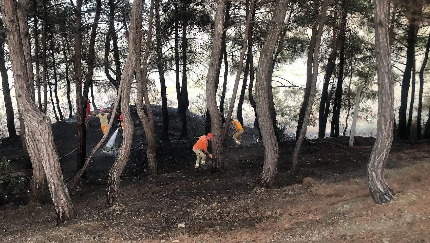 Yangın söndürüldü, vatandaş piknikçilere tepki gösterdi