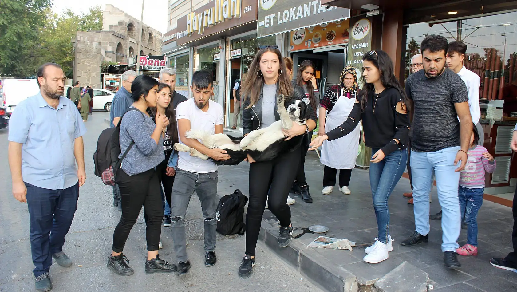 İnsanlık ölmemiş! Yaralı köpek için seferber oldular