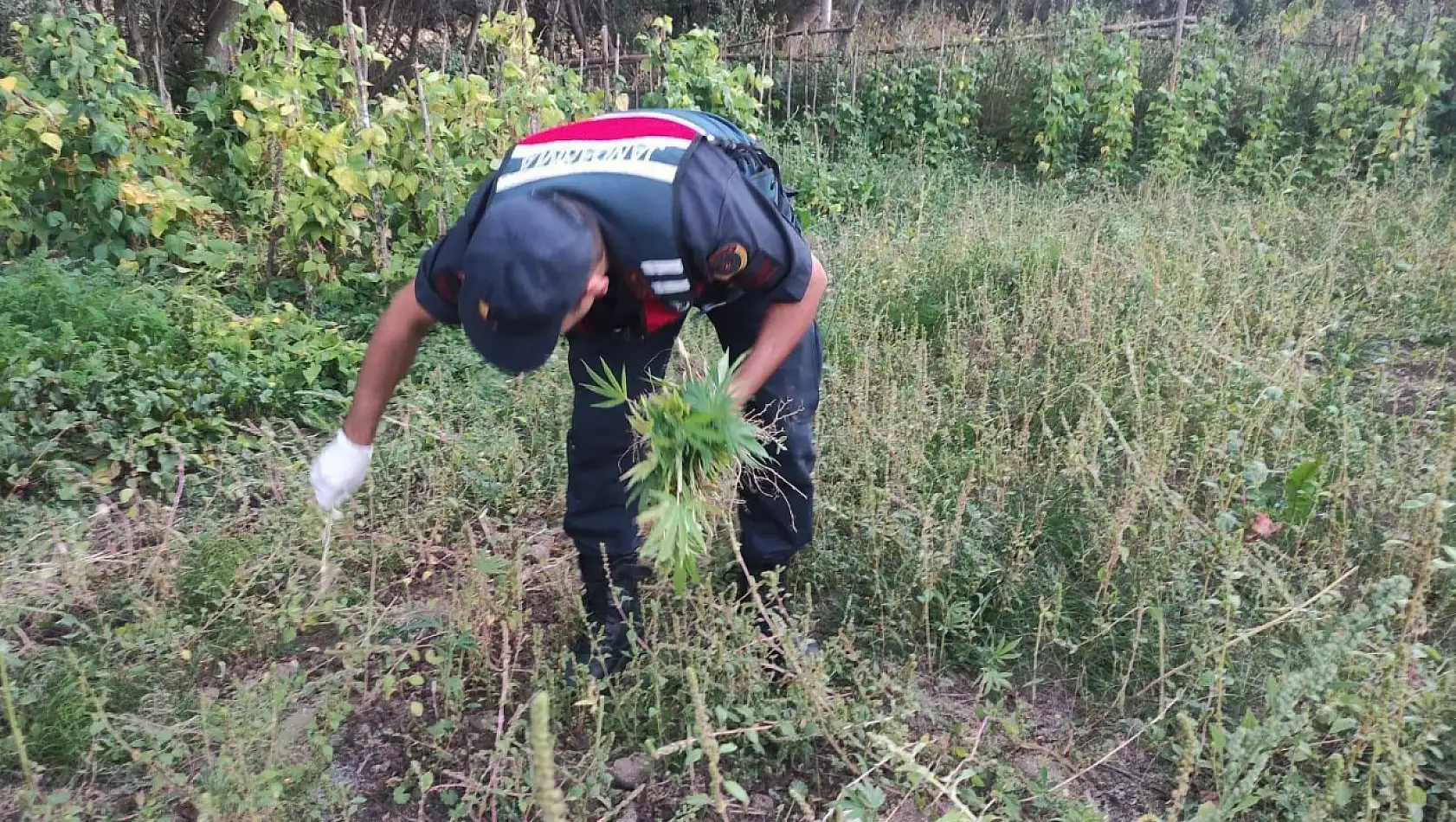 Yozgat'ta uyuşturucu operasyonu