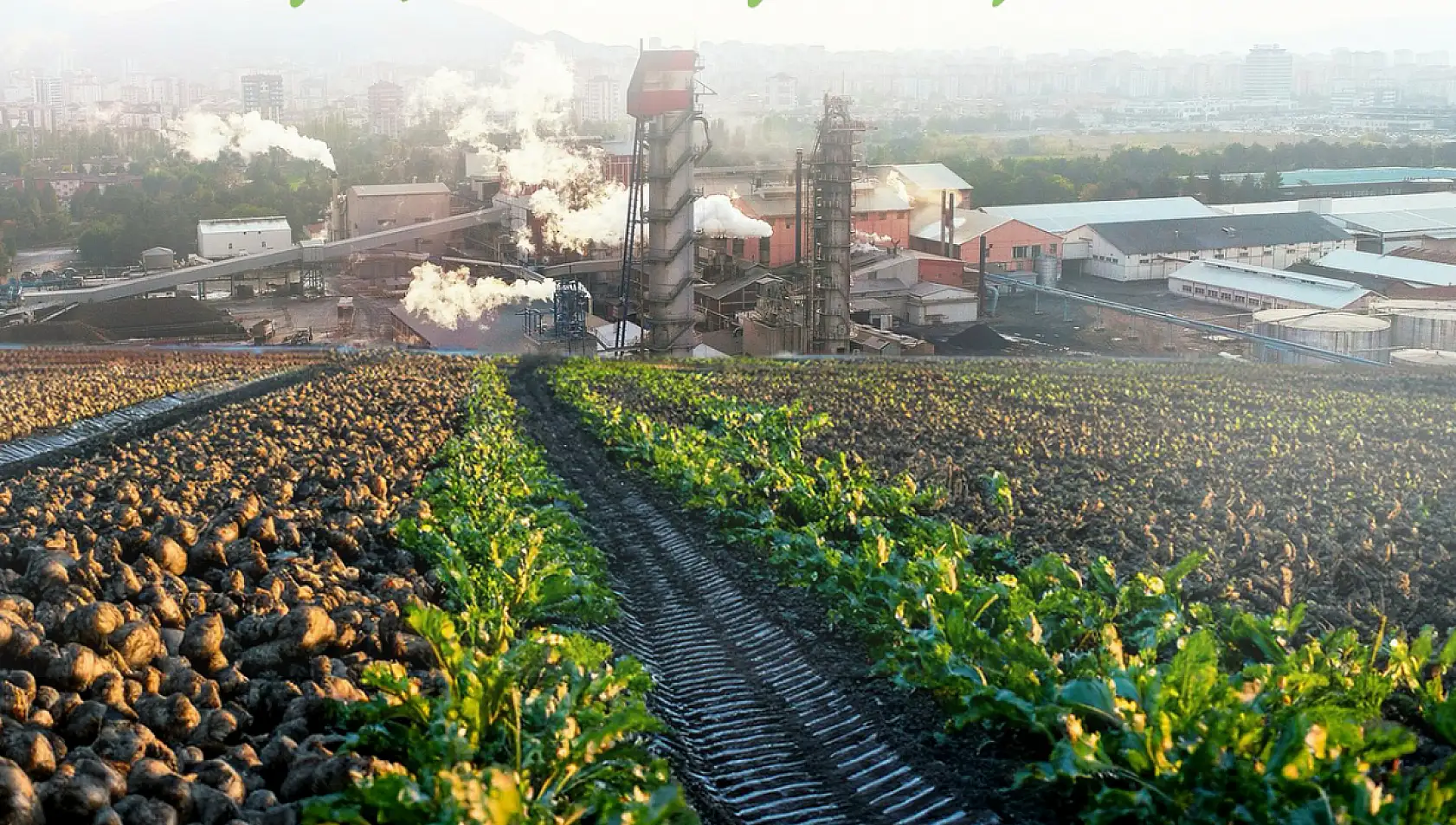 Kayseri Şeker'de siyasi parti genel başkanlarına taş çıkartan seçim çalışması! Böylesi görülmedi
