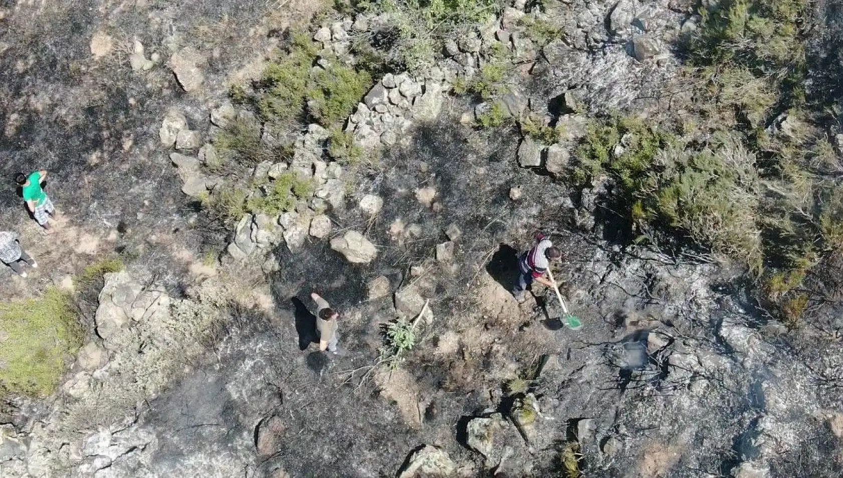 Bin 200 ağaç kurtarıldı