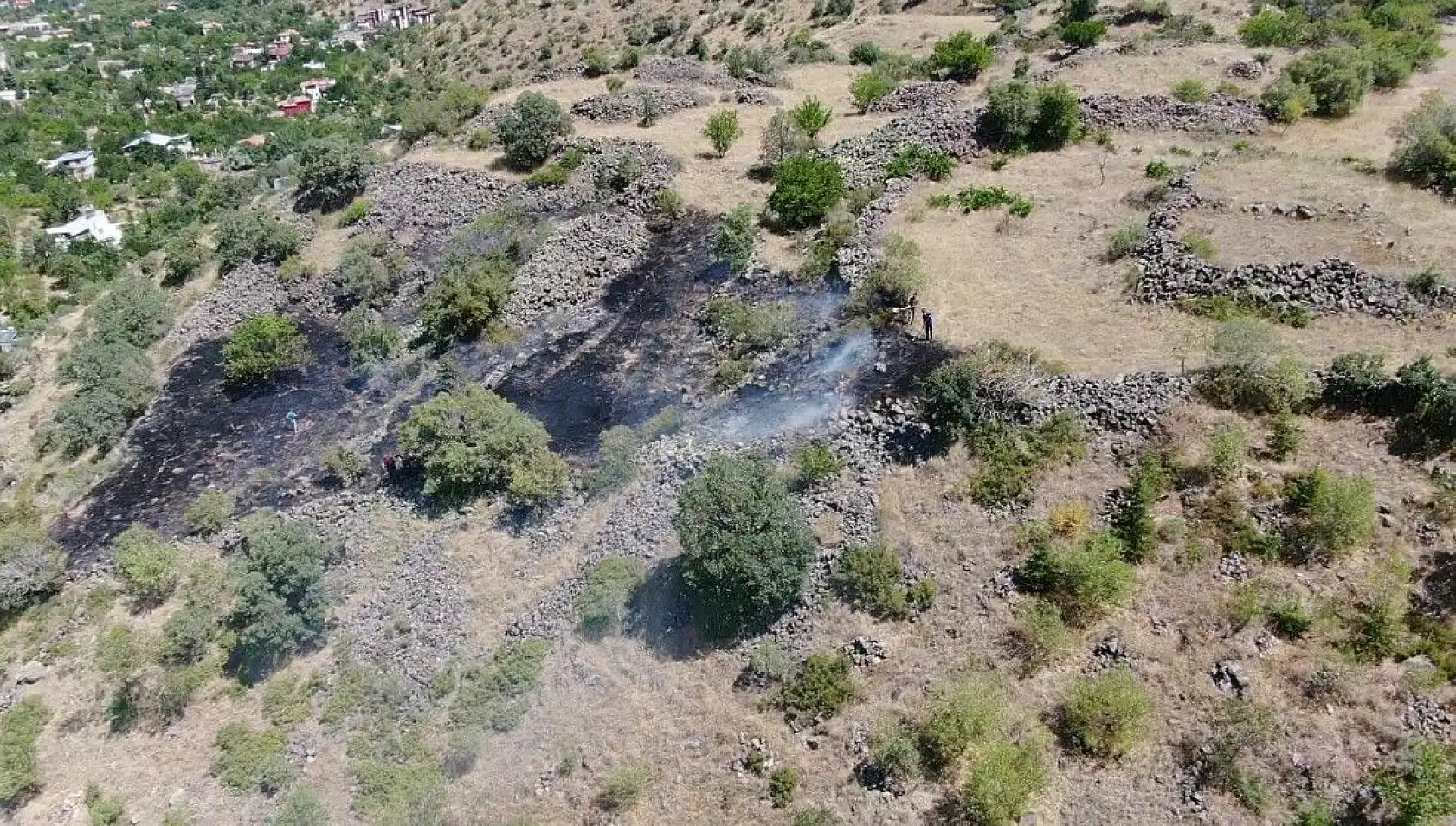 Bin 200 ağaç kurtarıldı