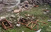 Kayseri'de ayı saldırısı