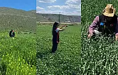 Kayseri'de o alanları didik didik ettiler! Bakın ne aradılar?