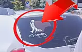 Kayseri'de oldu! Aracında Atatürk'ün görseli ve imzası var diye trafik cezası yazıldı