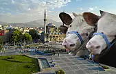 Dikkat! Kayseri'de yarın Kurban Bayramı için prova yapılacak!