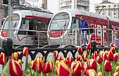 Kayserililer dikkat! Ulaşım yarın ücretsiz olacak
