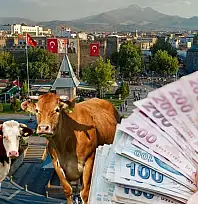 133 milyon 519 bin TL hesaplara yattı!