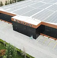 Ağustos'ta üretimini durduran dev şirket konkordato başvurusunda bulundu