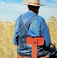 Bakan duyurdu: 1,5 milyar lira destek hesaplara yattı