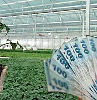 Bakan Yumaklı duyurdu: 226 milyon lira hesaplarda