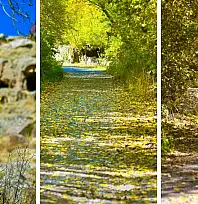 Başkan paylaştı! Görmeyen kalmasın, Kayseri'de orası Sonbahar'da bir başka güzel!