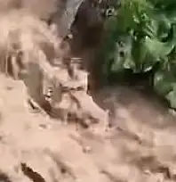 Bir ayda ikinci afet! Erdemli Vadisi'ni yine sel vurdu
