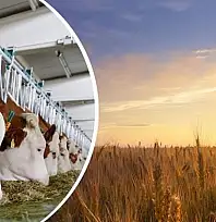 Çiftçilere 1 milyar 46 milyon lira destek