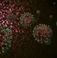 Dünya Sağlık Örgütü uyardı: Ölümcül virüs tüm dünyaya yayıldı