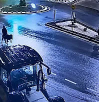 Eşekli hırsızın cezası belli oldu!