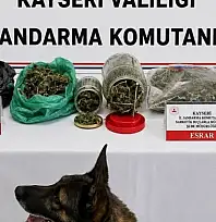 Jandarma ihbar üzerine harekete geçti: Ele geçirenler dikkat çekti
