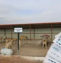 Kayseri'ye 20 dönümlük hayvan barınağı! Bakın kaç milyon TL'ye yapılacak?