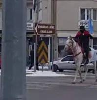 Kayseri'de at üzerinde bayraklı protesto