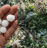Kayseri'de bahçeleri dolu vurdu