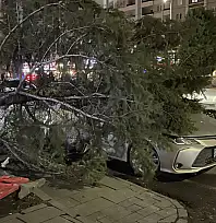 Kayseri'de bugün dışarı çıkacaklar dikkat! Rüzgar saatte 70 km'ye ulaşacak