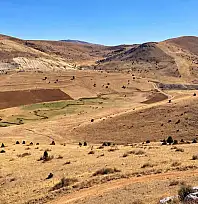 Kayseri'de çiftçileri bezdirdiler! Araziye çıkıldı, 75'i vuruldu