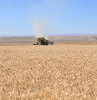Kayseri'de de birçok kişinin beklediği alım fiyatları açıklandı
