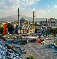 Kayseri'de evlerde görülmeye başlandı! Uzmanlar uyardı: Kesinlikle öldürmeyin