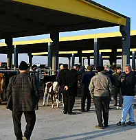 Kayseri'de hareketli sabah! Güne pazarlıkla başladılar