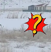 Kayseri'de köpeği parçalamıştı! Bir ilçede daha görüldü