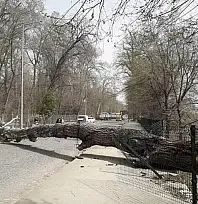 Kayseri'de kuvvetli rüzgâr ve fırtına alarmı