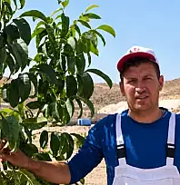 Kayseri'de olmaz denilen yerde 15 ton ürettiler!