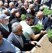 Kayseri'de ücretsiz dağıtıldı! Vatandaş kapış kapış aldı