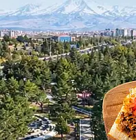 Kayseri'de ücretsiz tantuni dağıtılacak! Detaylar belli oldu
