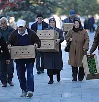 Kayseri'de yarın ücretsiz domates fidesi dağıtılacak! 4 farklı yer belirlendi