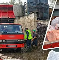 Kayseri'deki at-eşek eti şokunun ardından şimdi de domuz eti!