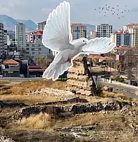 Kayseri'deki Basiliada merak konusu oldu! Mahalleye talih kuşu mu kondu?