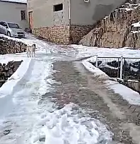 Kayseri'deki bu köprü tehlike saçıyor